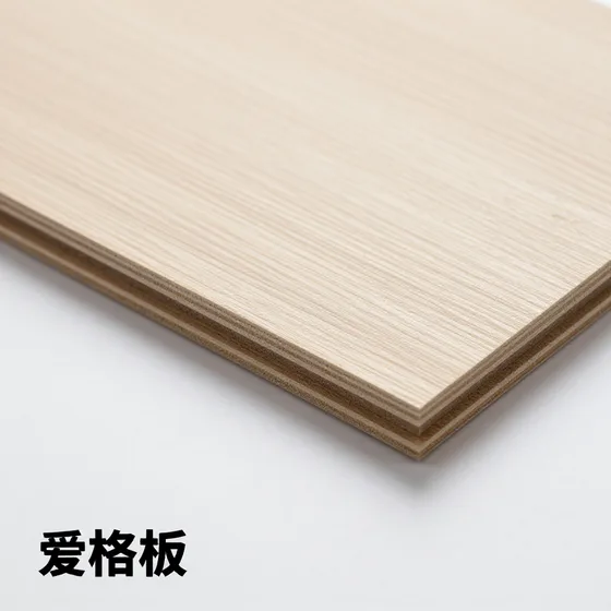 东道设计
